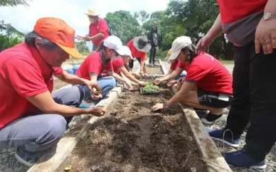 Meaningful Partnership Towards Food Security